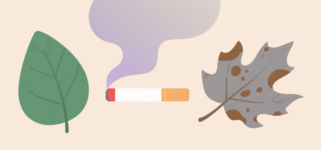 Quite Smoking