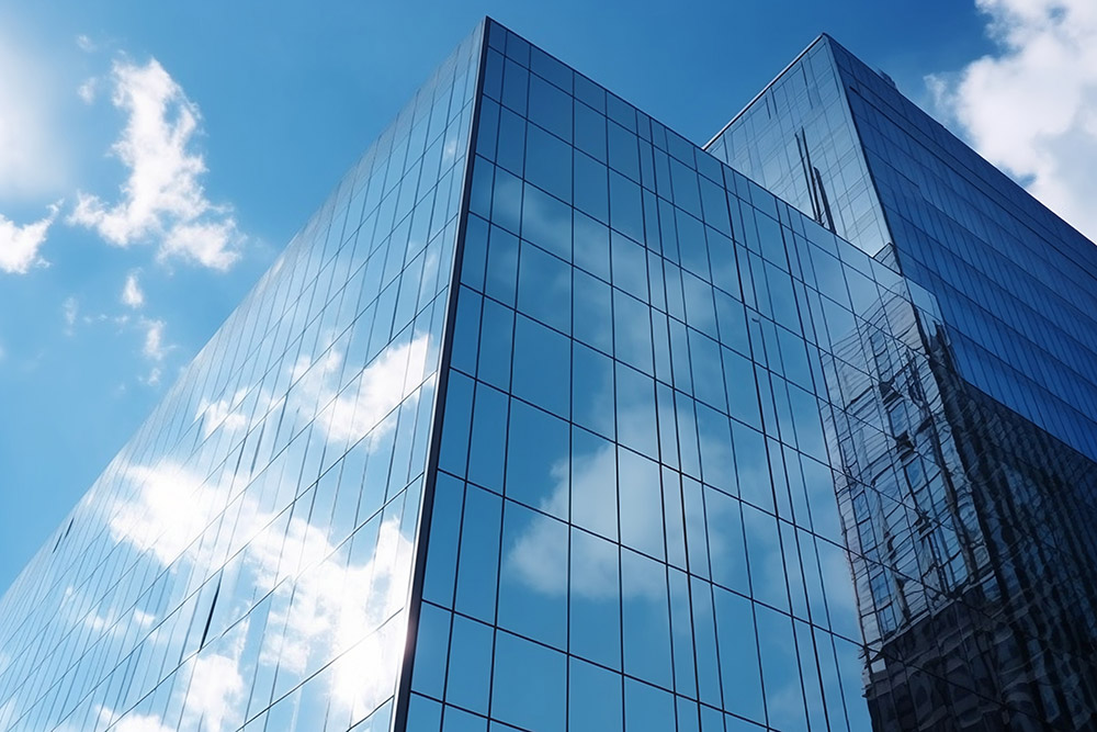 Millennium Plus Holdings